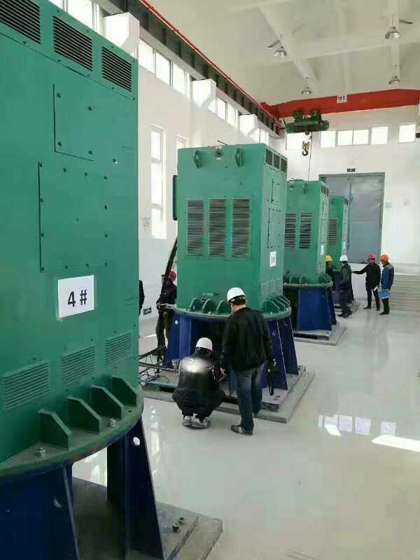 同江某污水处理厂使用我厂的立式高压电机安装现场